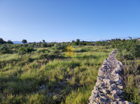 Zemljište, Prodaja, Poljoprivredna površina