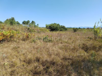 Zemljište Prodaja Privlaka 1007 m2