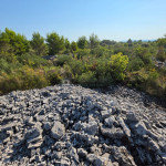 Atraktivno poljoprivredno zemljište na Srimi – 1.928 m², svega 200 m o