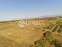 Zemunik - poljoprivredno zemljište uz put, 3302 m2