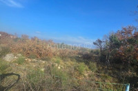 ŽERAVA-građevinsko zemljište 618m2