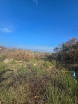 ŽERAVA-građevinsko zemljište 630m2
