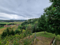 Zlatar, zapušteni vinograd od 1.025 m², na prodaju