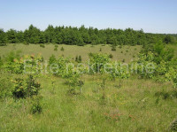 Žminj - mješano zemljište 25.000 m2