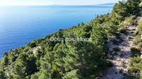 ZULJANA, PELJESAC kaskadno zemljiste 4200 m2, drugi red od mora