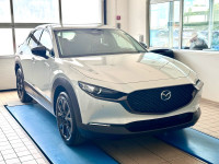 Mazda CX-30 e-Skyactive G 140 Nagisa automatik