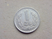 1 Zlot