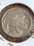 5 Cents 1919  Buffalo Nickel