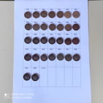 Komplet svih 30 kovanica 50 lipa 1993 - 2022