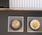 Set 20 quadrum kapsula za kovanice promjera do 40 mm + KUTIJA + UMETCI