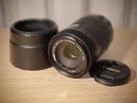 Canon EF-S 55-250MM F/4-5.6 IS STM