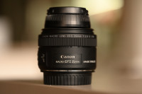 Canon EFS 35mm 2.8 IS STM