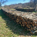 Drva hrastova za ogrijev