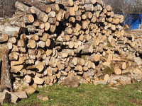 drva za ogrijev hrast grab oblica