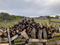 Drva za ogrijev hrast