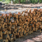 DRVA ZA OGRIJEV- MIJEŠANA BUKVA I GRABAR