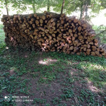 Drva za ogrjev, agacija 6m