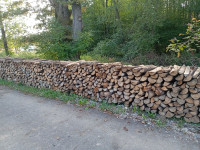 Joha / Crna joha / Jalsa Drva