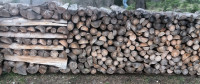 MIX JOHA I BOROVINA drva za ogrjev