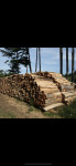 Prodajem drva za ogrjev čista Bukva sa dostavom