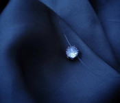 OGRLICA NA SAJLI -  NOVO