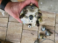 Satovi za Mini Morris - Innocenti Mini