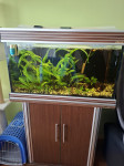 Akvarij 100 l