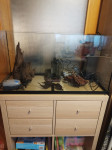akvarij juwel rekord 800 sa originalnim stalkom