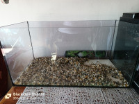 Akvariji 54L