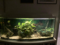 Akvariji rabljeni i filter Kristal Profi