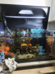 Prodajem akvarij od 105 L  i od 30 L