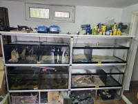 Stalaža s akvarijima moze i pojedinacna kupnja