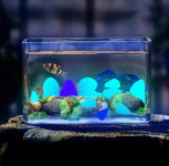 Ukrasni svjetleći kamenčići za akvarij, 20 kom. novo!