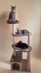 Penjalica/grebalica za mačke Lovely Stairs
