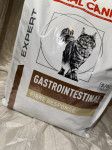 Royal Canin gastrointestinal