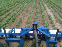 Kultivator za soju,repu,povrće..