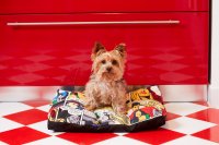 Ortopedski Bean Bag Kreveti za Pse & Mačke / Oprema za pse