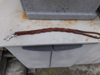 povodac za psa-kozni