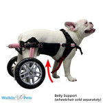 Walkinpets -  Belly Belts uprtač za pseća kolica
