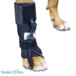 Walkinpets - Korektor za prednju nogu
