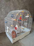 Kavez za papige