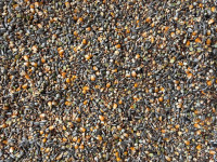 Smjesa sjemenki za ishranu golubova