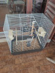 Veliki kavez za papige