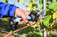 AKU ŠKARE SPEEDY Zagreb /Zadar