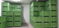 BOX PALETE