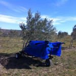 KIŠOBRAN ZA MASLINE OLIVSPEED PLUS