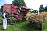 Vršalica (dreš) za grah hitno