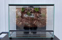 Terrarij Terrestrial