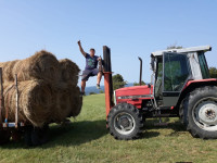 Prednji traktorski viljuškar za Massey Ferguson