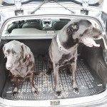 Gumena Kadica Za Prtljažnik Auta - Po Mjeri - Za Sva Vozila - Tipska -